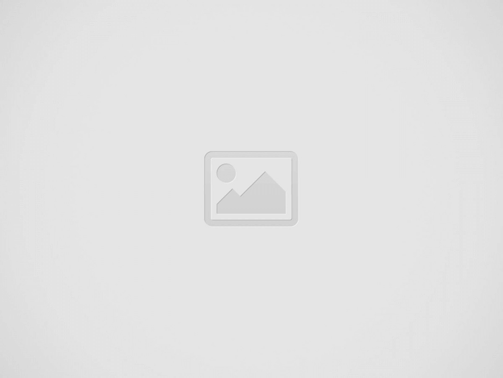 A Importância da Criação de Sites Profissionais para seu Negócio