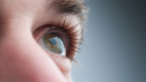 Pesquisa de Opinião Pública