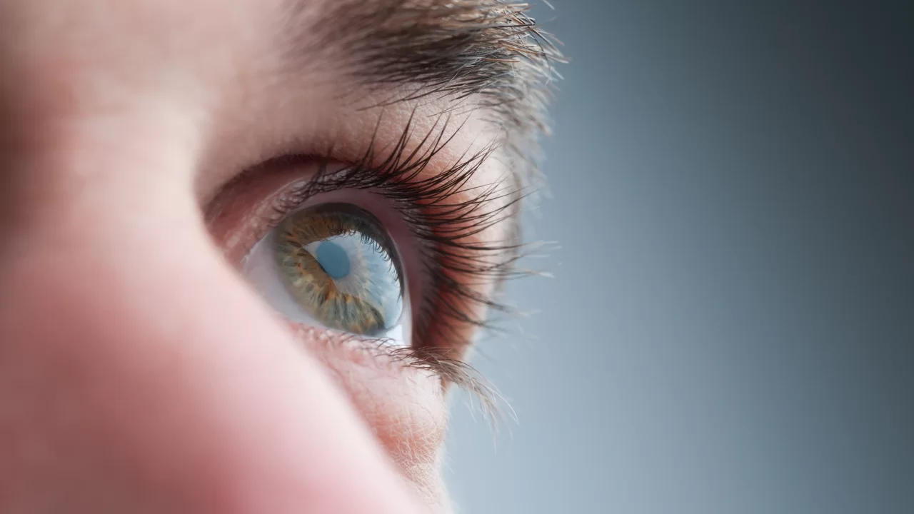 Pesquisa de Opinião Pública